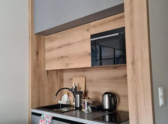 Mostowa 23 Hugo Apartment, Self Check-in 24h, Free Parking, Air-conditioning * Poznan